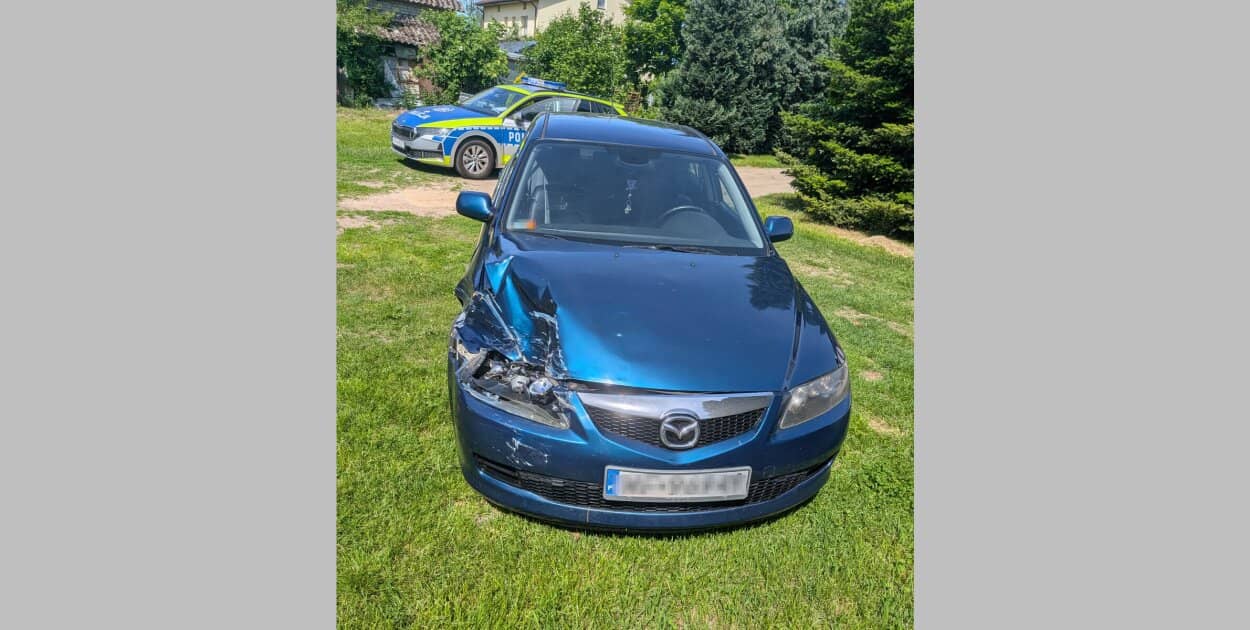 Zdjęcie