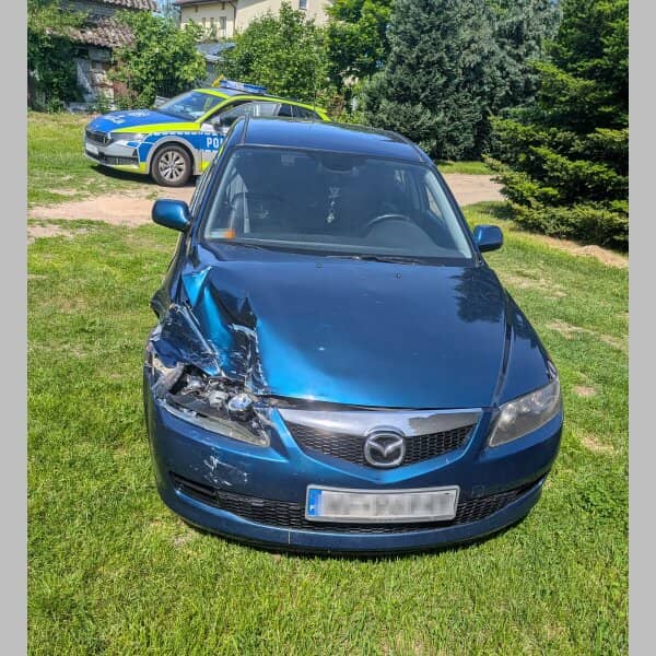 Zdjęcie