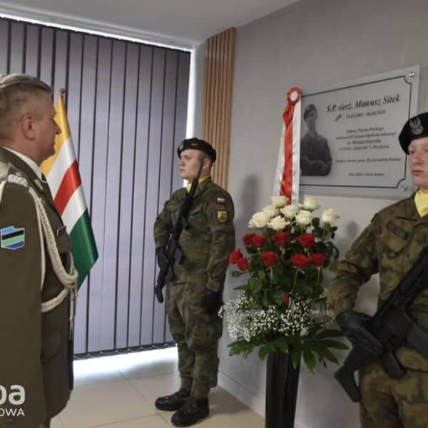 Zdjęcie