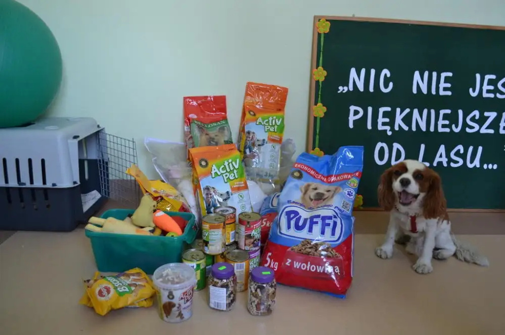 Dzień Dobrych Uczynków w Ośrodku Szkolno-Wychowawczym w Wyszkowie