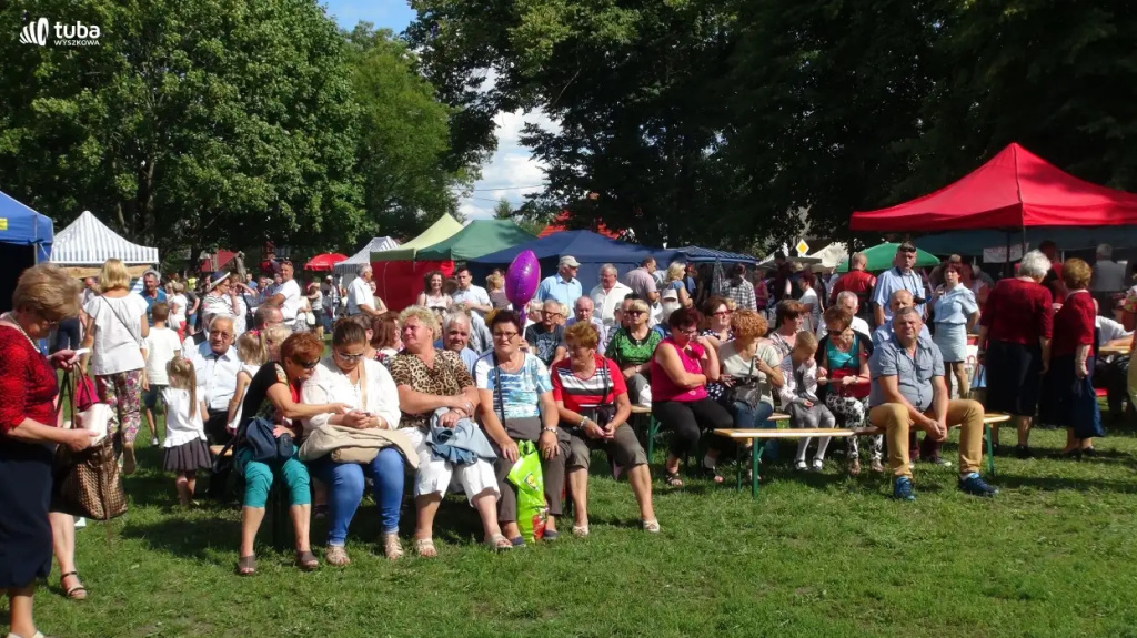 Po raz VI w Kamieńczyku odbył się Festiwal Miodu i Chleba