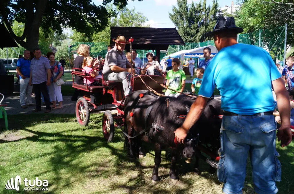 Po raz VI w Kamieńczyku odbył się Festiwal Miodu i Chleba