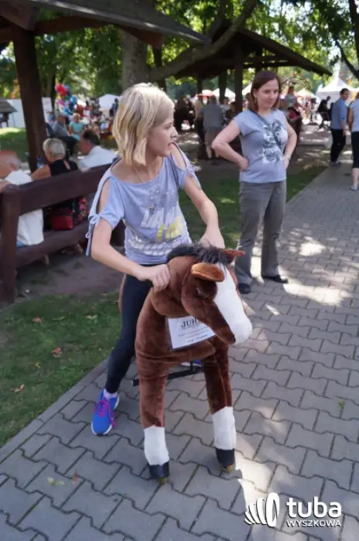 Po raz VI w Kamieńczyku odbył się Festiwal Miodu i Chleba