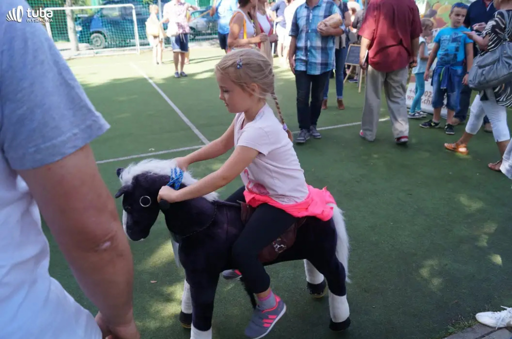 Po raz VI w Kamieńczyku odbył się Festiwal Miodu i Chleba