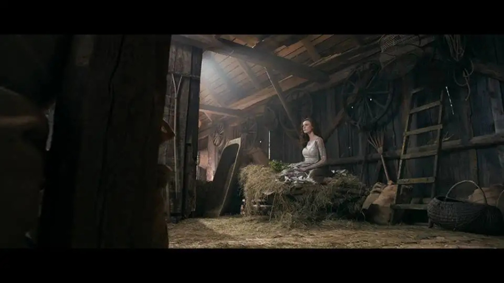 Kuligowski skansen w filmie Bagińskiego