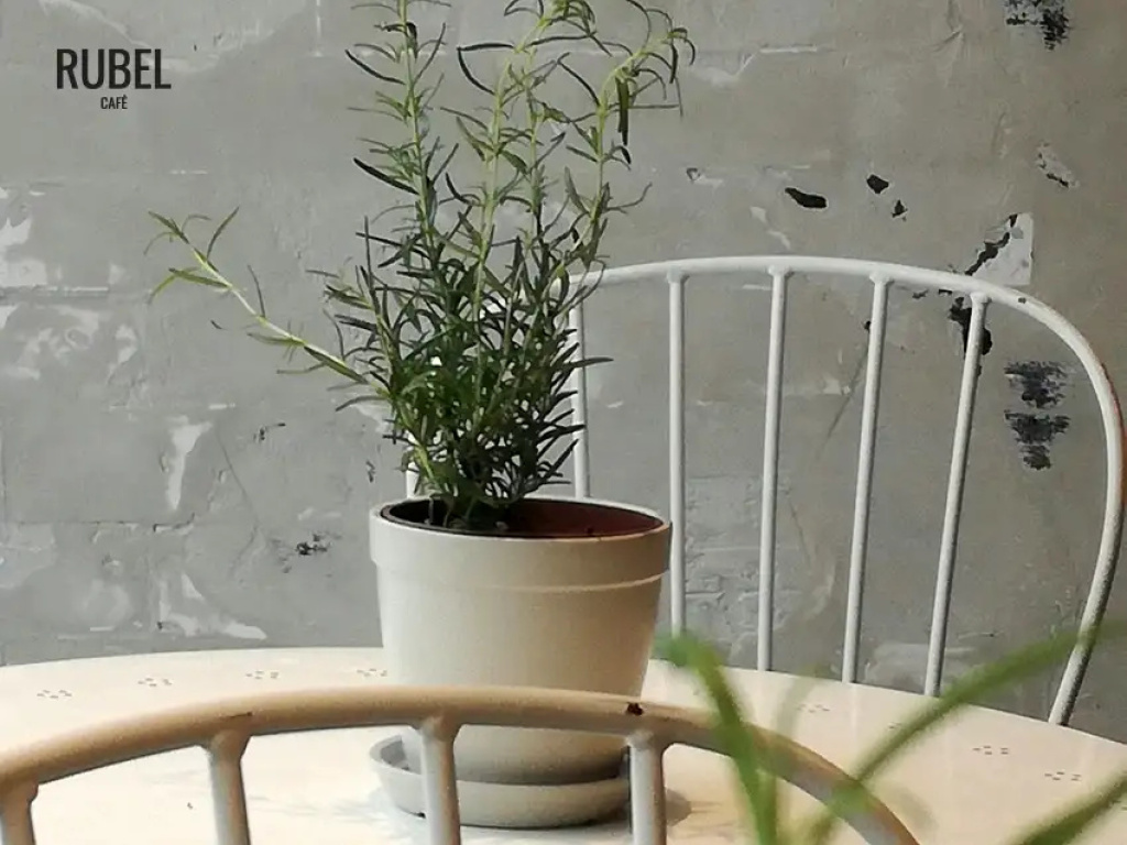 Poznajcie Rubel Cafe – już oficjalnie otwarte!