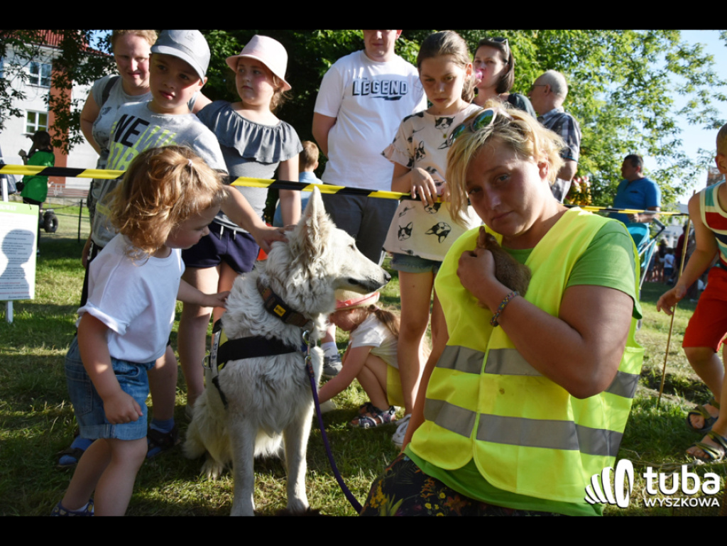 Piknik profilaktyczny dla najmłodszych, czyli Dzień Dziecka po wyszkowsku
