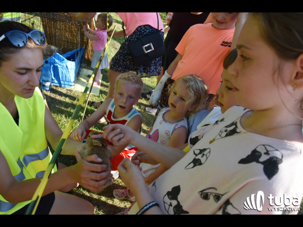 Piknik profilaktyczny dla najmłodszych, czyli Dzień Dziecka po wyszkowsku