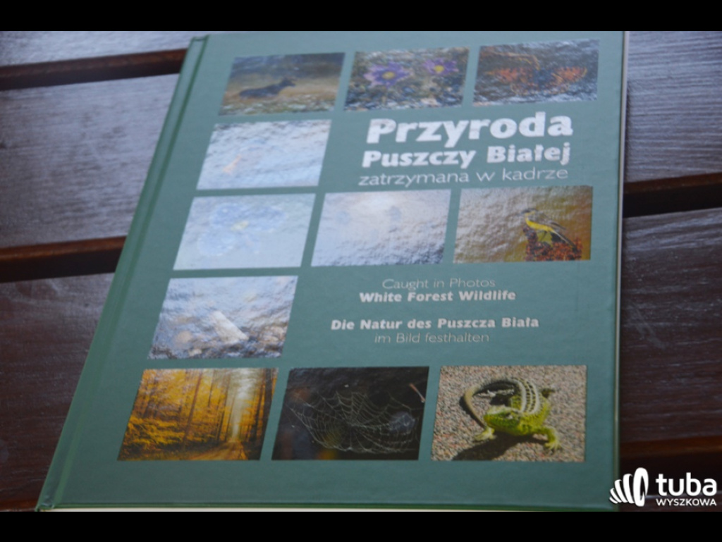 Młodzi przyrodnicy z SP nr 2 i SP Długosiodło z największą wiedzą o lesie