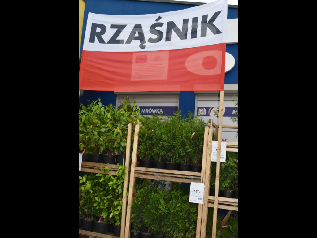 Promocje, atrakcje, degustacje, czyli festyn w 