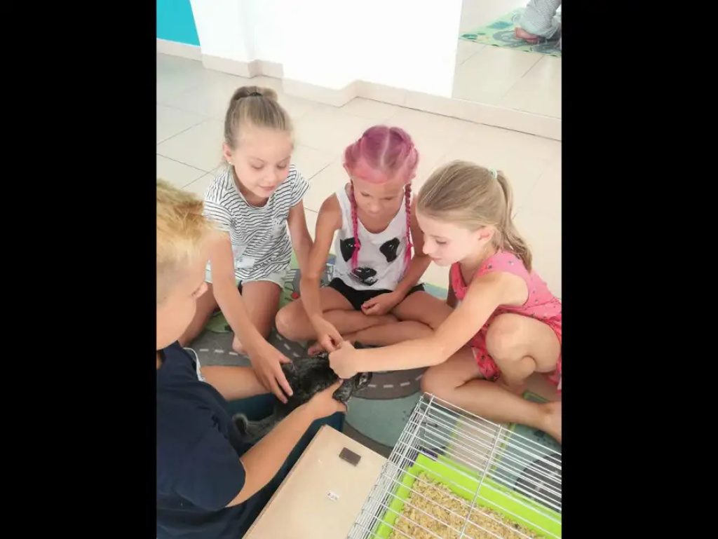 Akademia Dobrej Zabawy i Przyjemnej Edukacji w Wyszkowie - nowe miejsce stworzone dla dzieci
