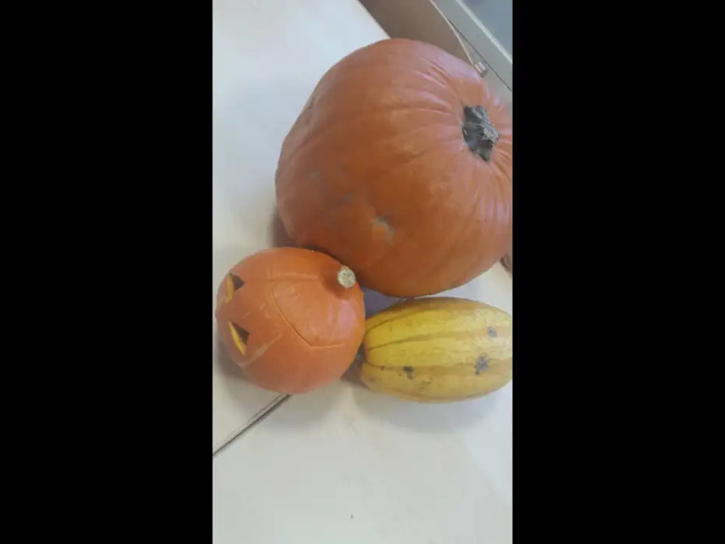 Halloweenowe czary-mary  w Żłobku A KU KU