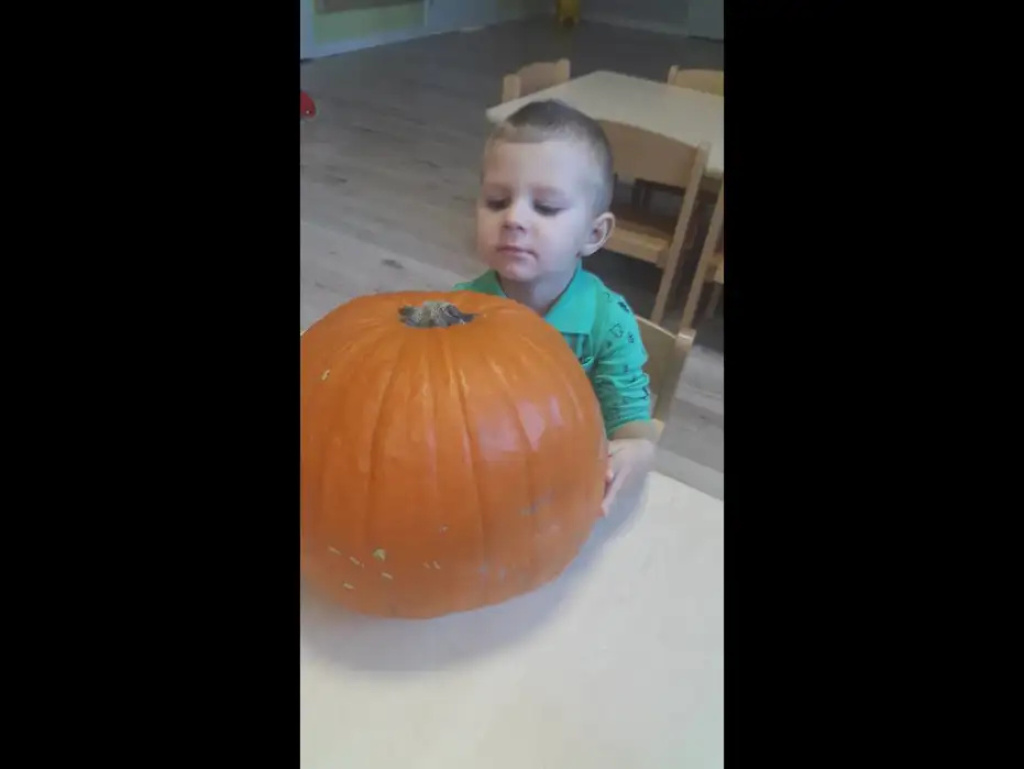 Halloweenowe czary-mary  w Żłobku A KU KU