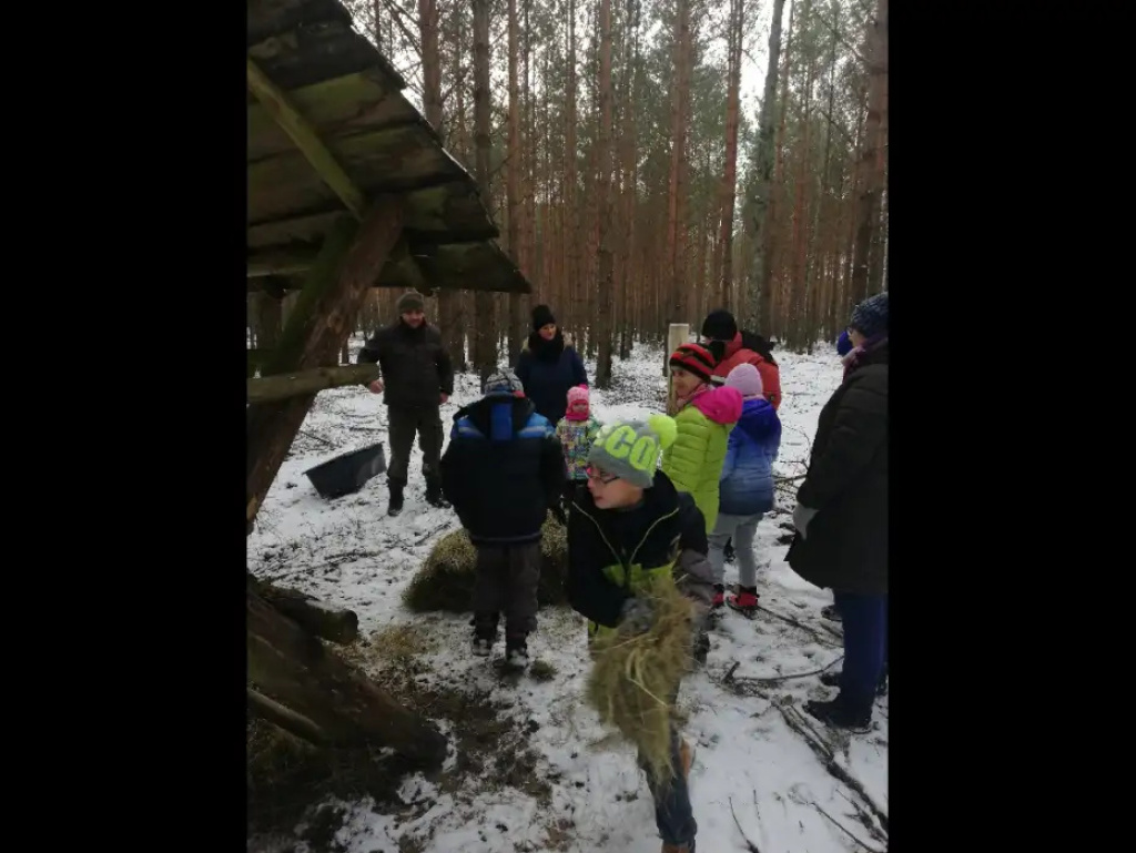Uczniowie ZSS w Brańszczyku dokarmiali zwierzynę leśną