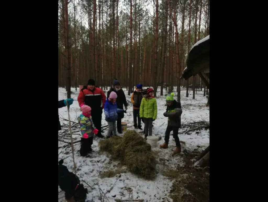 Uczniowie ZSS w Brańszczyku dokarmiali zwierzynę leśną
