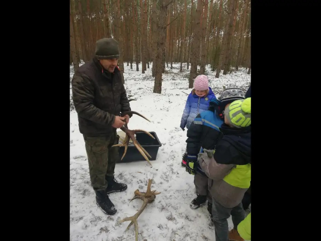 Uczniowie ZSS w Brańszczyku dokarmiali zwierzynę leśną