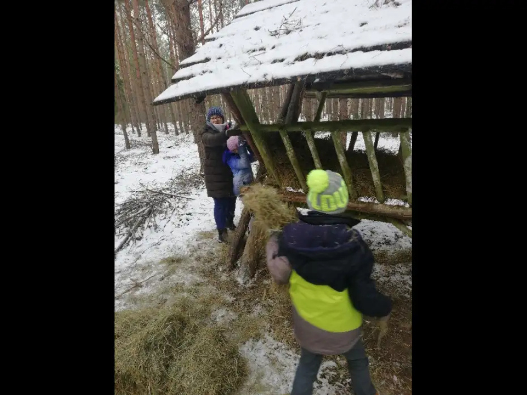 Uczniowie ZSS w Brańszczyku dokarmiali zwierzynę leśną