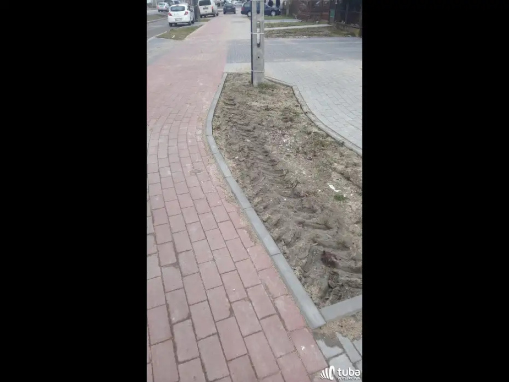 Mieszkańcy ul. Paderewskiego: 