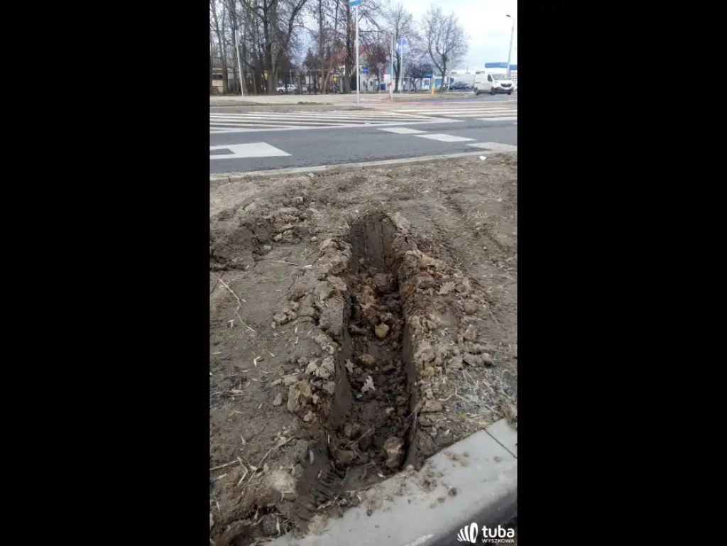 Mieszkańcy ul. Paderewskiego: 