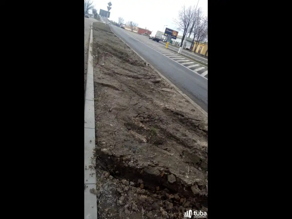 Mieszkańcy ul. Paderewskiego: 
