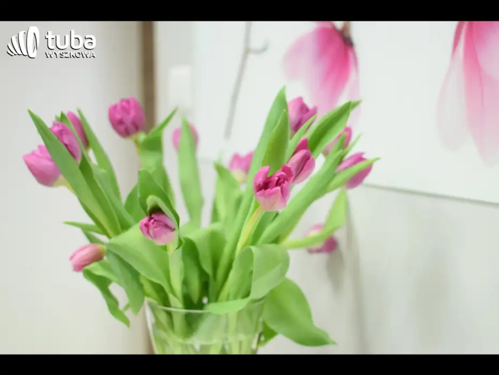 Nowe zabiegi i atrakcyjne promocje. Tak wyglądał Dzień Kobiet w Yasumi (video)