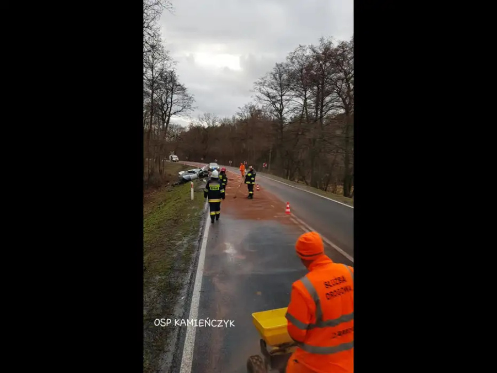 Czołowe zderzenie trzech aut w Skuszewie. Kierowca wpadł w poślizg (aktualizacja)