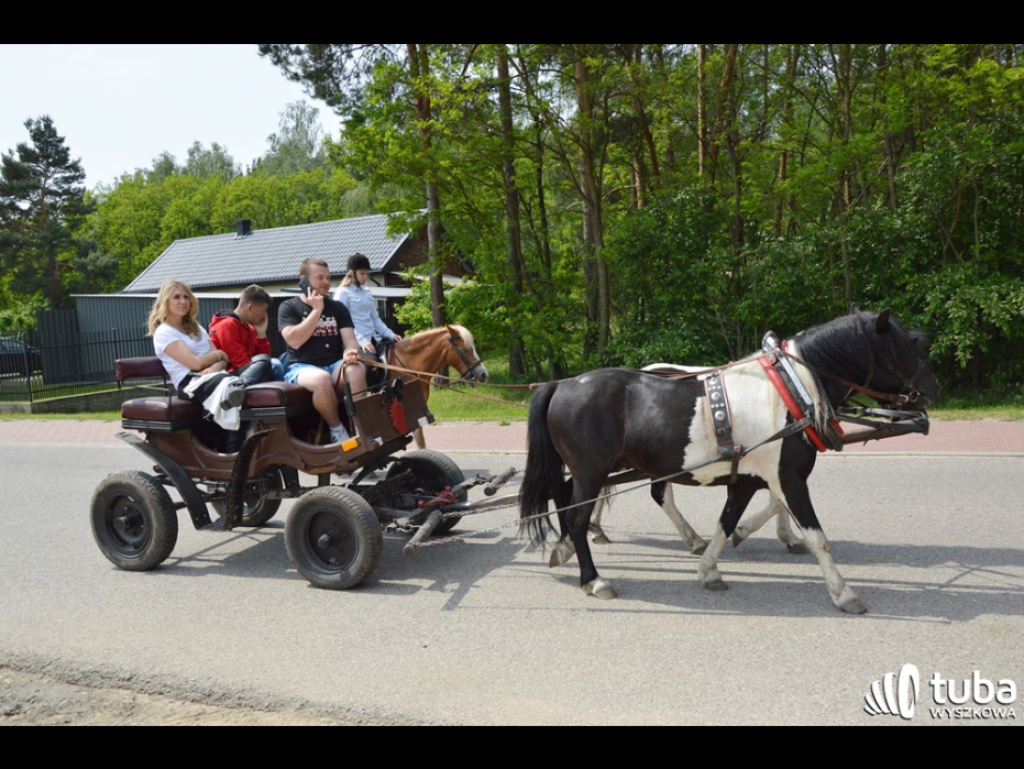 Pielęgnowanie i podtrzymywanie polskich tradycji jeździeckich. XIV Dzień Konia w Gulczewie