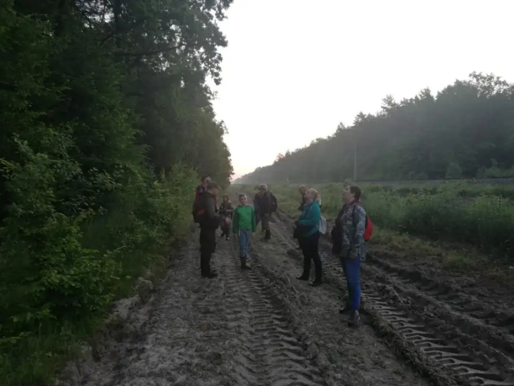 Ptasie śpiewy i las o świcie - Nadleśnictwo Wyszków ogłasza konkurs