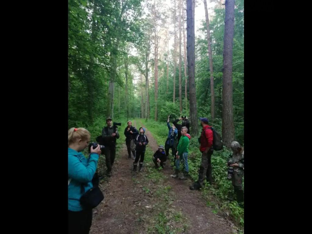 Ptasie śpiewy i las o świcie - Nadleśnictwo Wyszków ogłasza konkurs