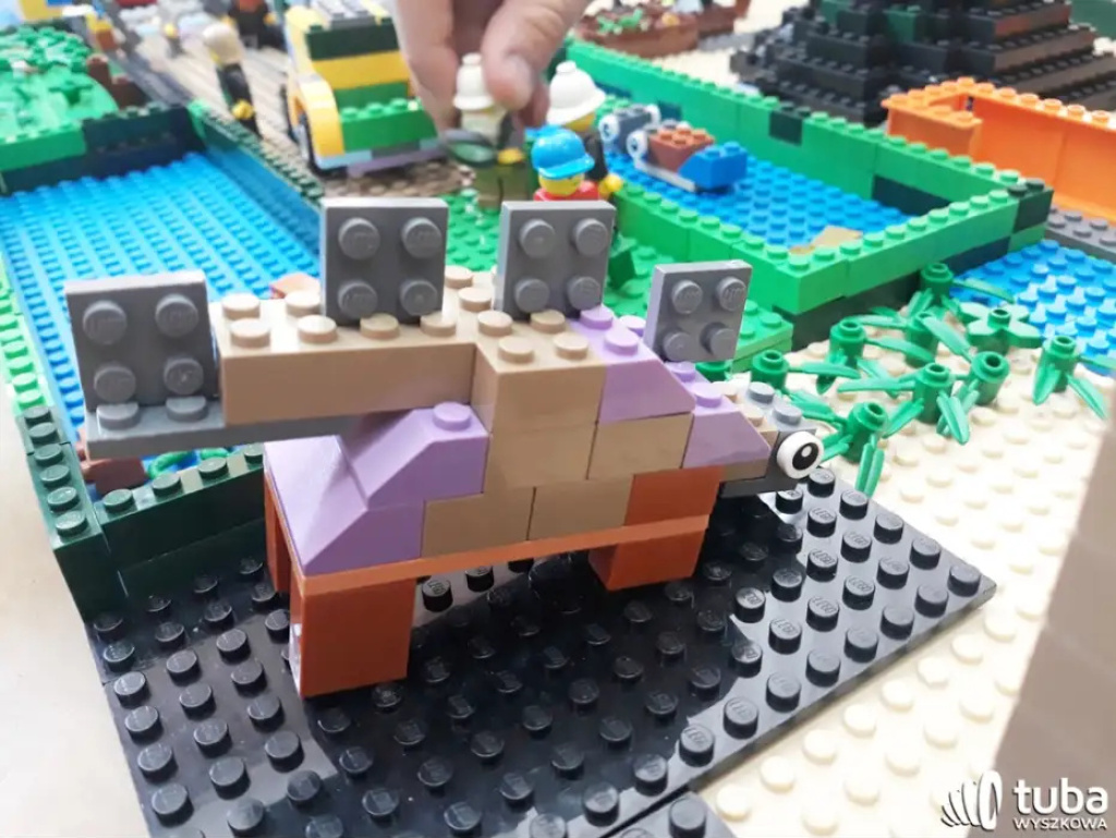 Wakacje z EDUKIDO - zabawa i rozwój z klockami LEGO