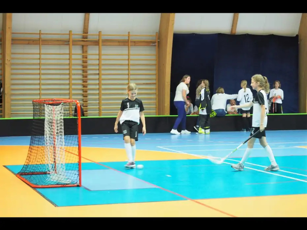 I turniej Mistrzostw Polski w unihokeja dla UKS Młode Wilki z Zabrodzia!