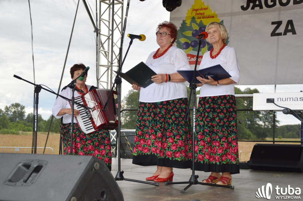 Prawdziwe jagodowe żniwa
