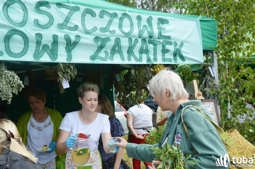 Prawdziwe jagodowe żniwa