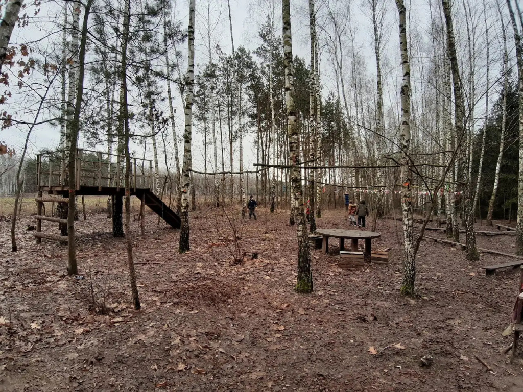 LEŚNA SZKOŁA PODSTAWOWA ROiSA – szkoła stworzona z potrzeby bliskości natury i radosnej edukacji (VIDEO)