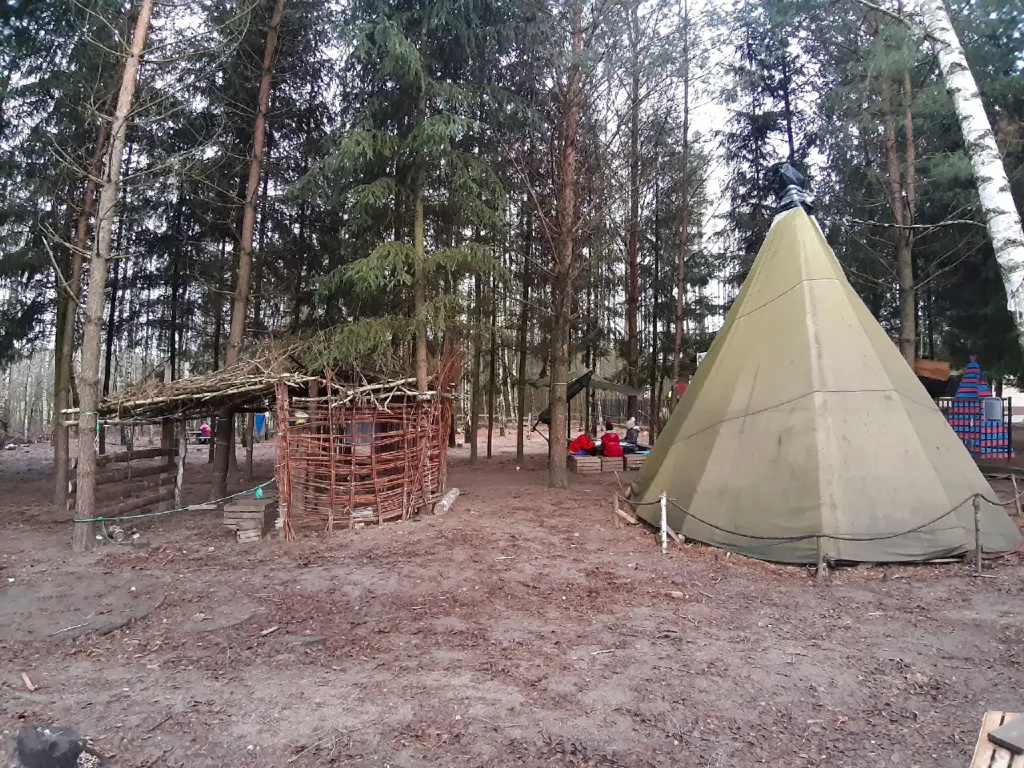 LEŚNA SZKOŁA PODSTAWOWA ROiSA – szkoła stworzona z potrzeby bliskości natury i radosnej edukacji (VIDEO)