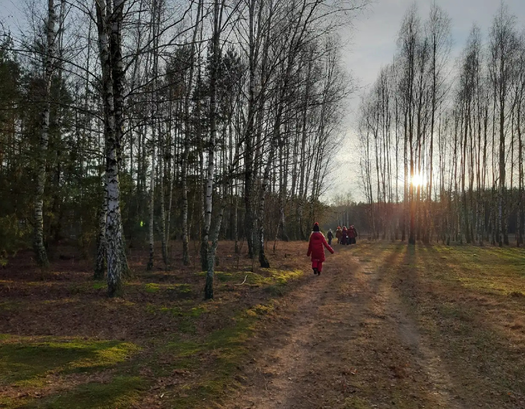 LEŚNA SZKOŁA PODSTAWOWA ROiSA – szkoła stworzona z potrzeby bliskości natury i radosnej edukacji (VIDEO)