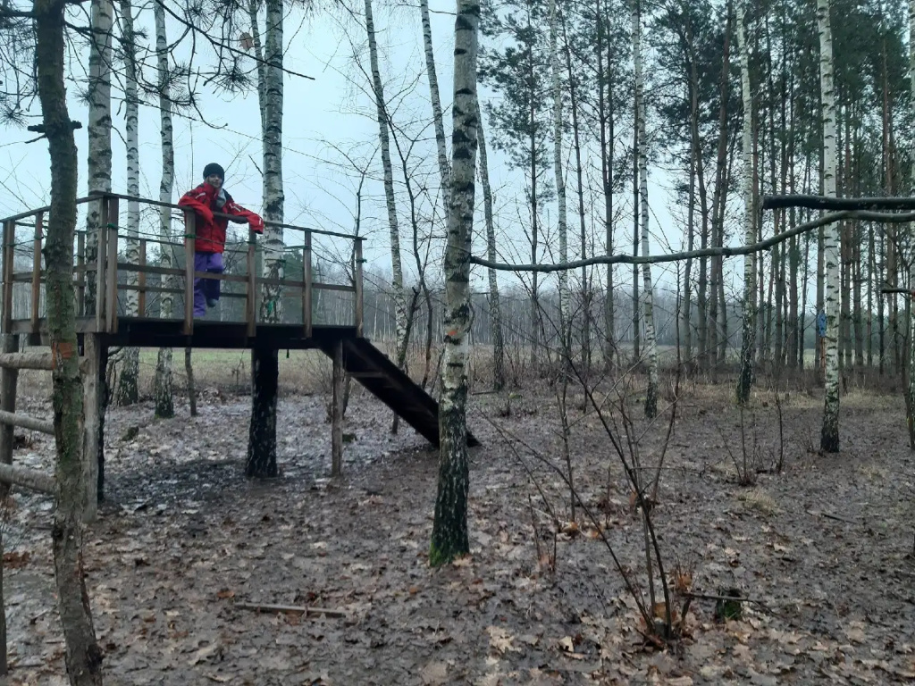 LEŚNA SZKOŁA PODSTAWOWA ROiSA – szkoła stworzona z potrzeby bliskości natury i radosnej edukacji (VIDEO)