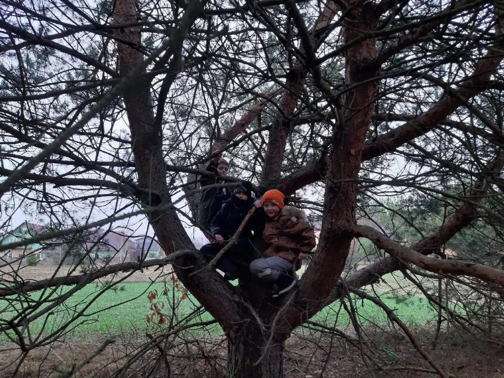 LEŚNA SZKOŁA PODSTAWOWA ROiSA – szkoła stworzona z potrzeby bliskości natury i radosnej edukacji (VIDEO)