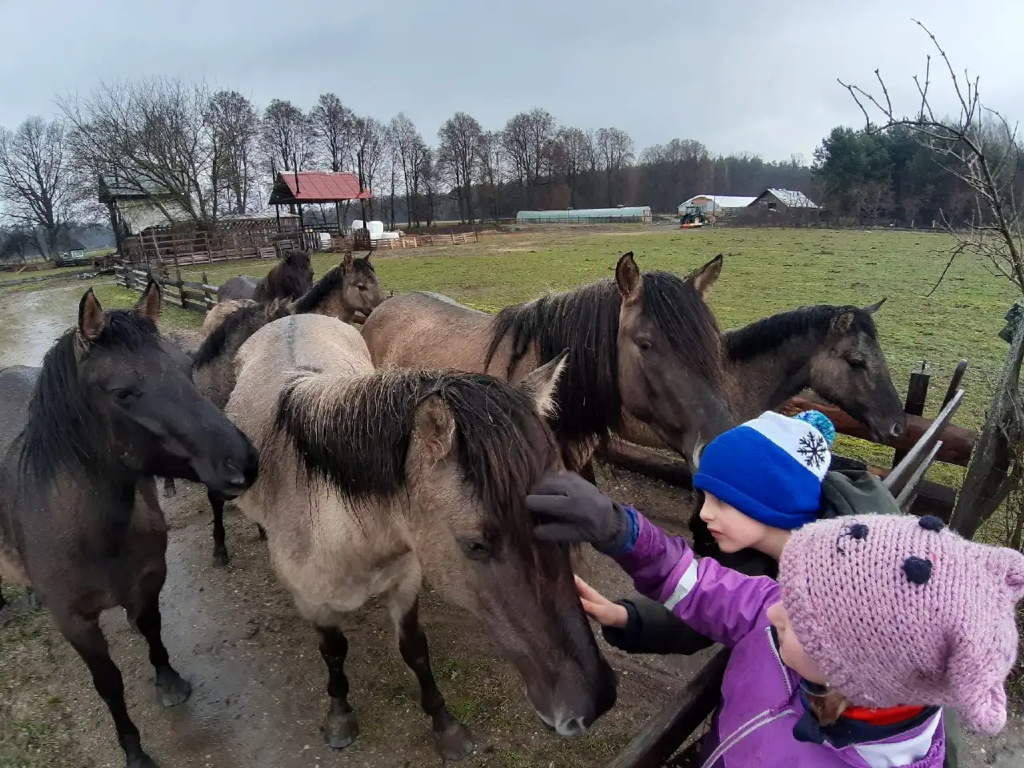 LEŚNA SZKOŁA PODSTAWOWA ROiSA – szkoła stworzona z potrzeby bliskości natury i radosnej edukacji (VIDEO)