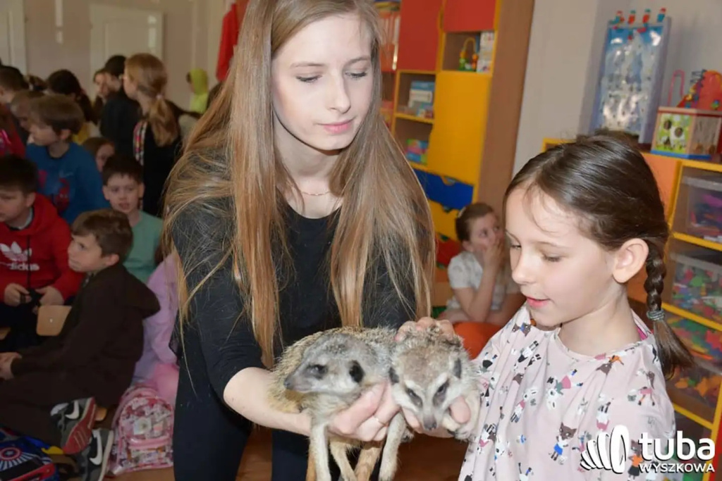 Bliskie spotkanie z dzikimi zwierzętami (VIDEO)