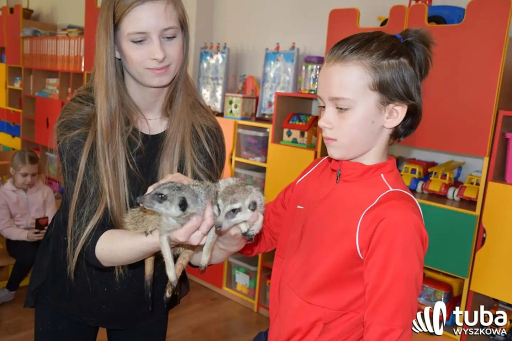 Bliskie spotkanie z dzikimi zwierzętami (VIDEO)