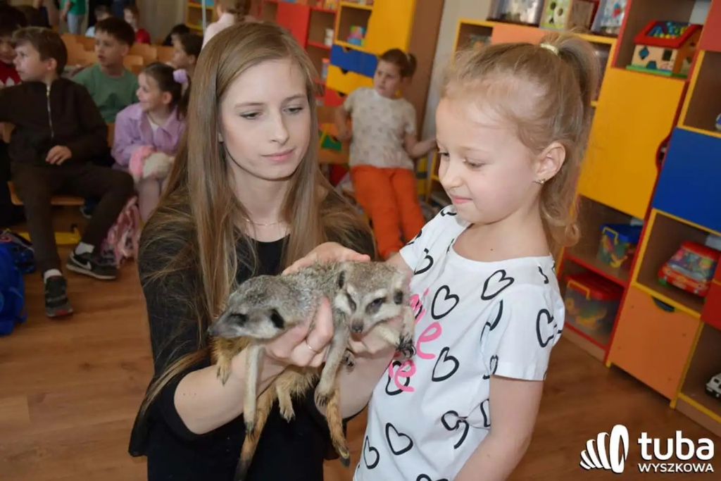 Bliskie spotkanie z dzikimi zwierzętami (VIDEO)