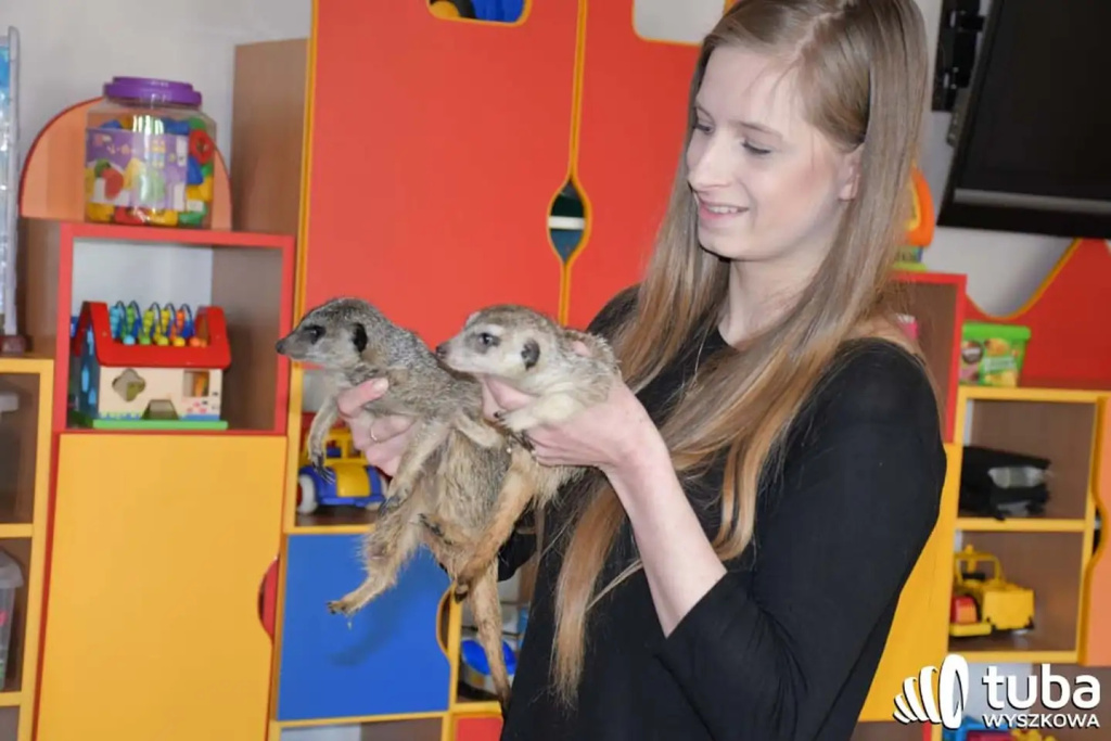 Bliskie spotkanie z dzikimi zwierzętami (VIDEO)