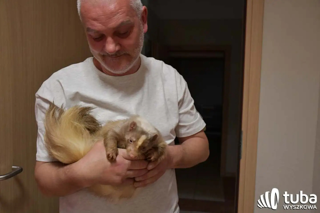 Bliskie spotkanie z dzikimi zwierzętami (VIDEO)
