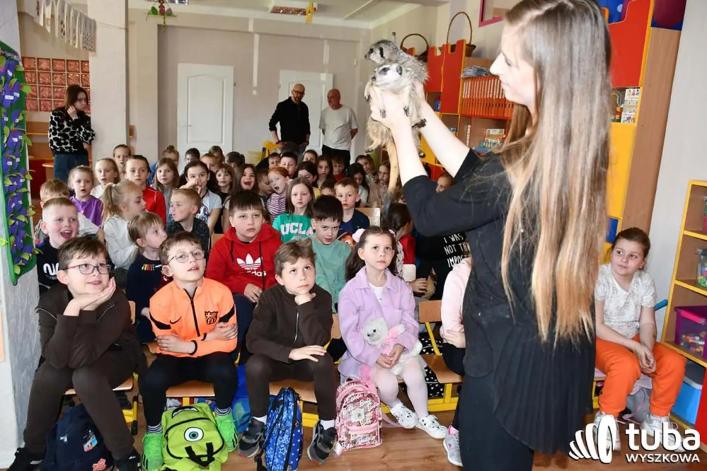 Bliskie spotkanie z dzikimi zwierzętami (VIDEO)