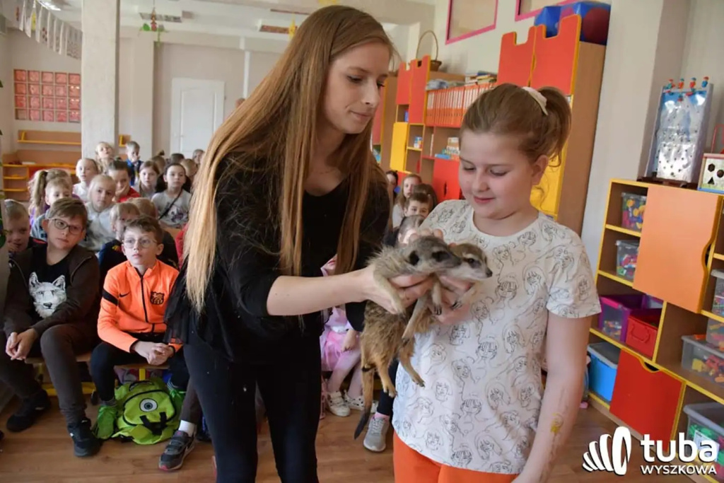 Bliskie spotkanie z dzikimi zwierzętami (VIDEO)