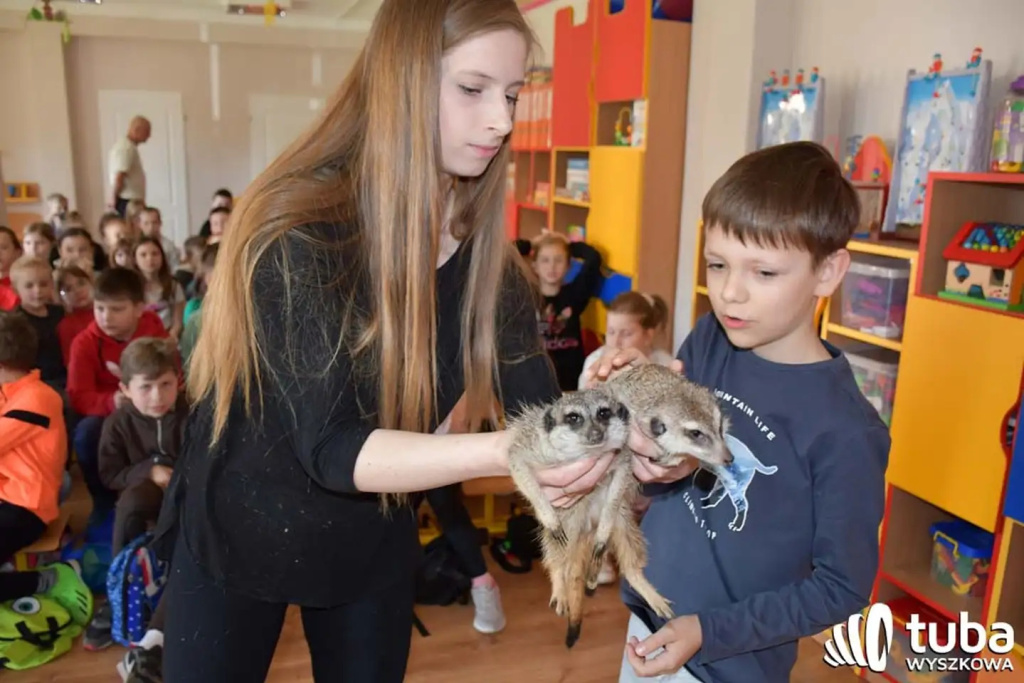 Bliskie spotkanie z dzikimi zwierzętami (VIDEO)