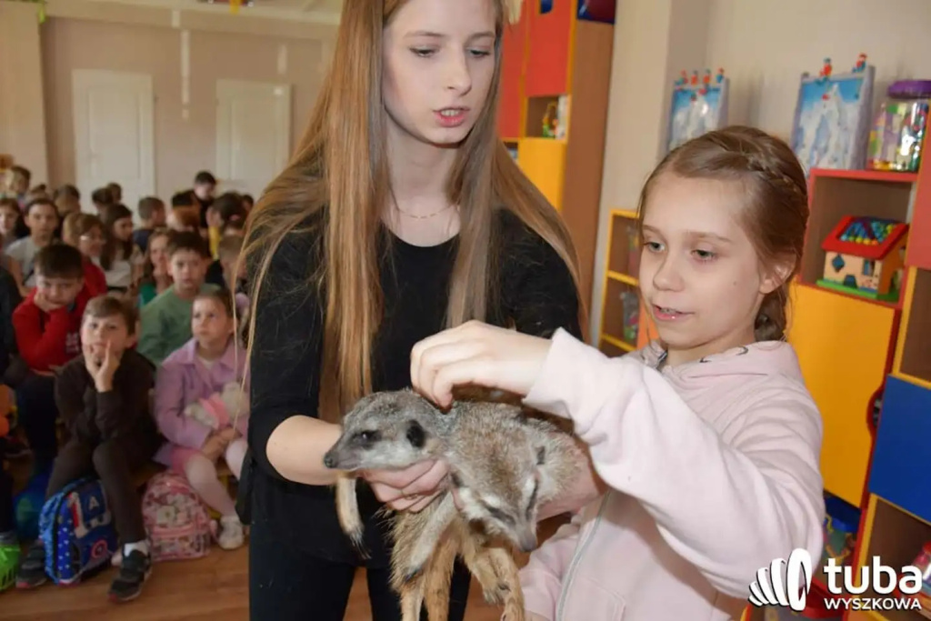 Bliskie spotkanie z dzikimi zwierzętami (VIDEO)