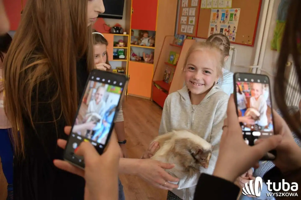 Bliskie spotkanie z dzikimi zwierzętami (VIDEO)