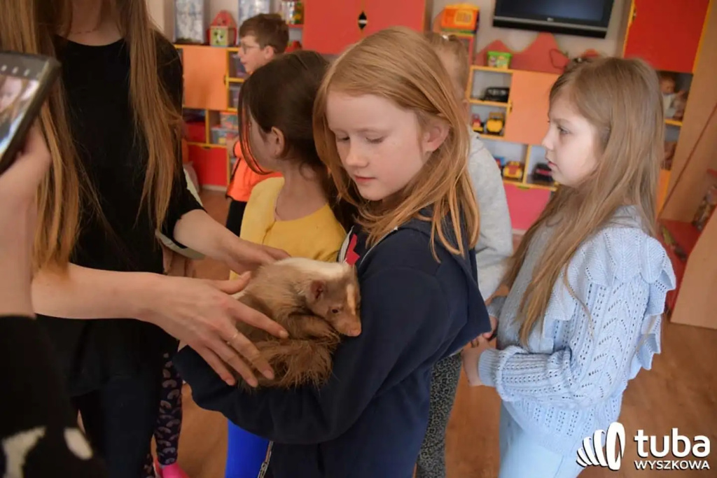 Bliskie spotkanie z dzikimi zwierzętami (VIDEO)